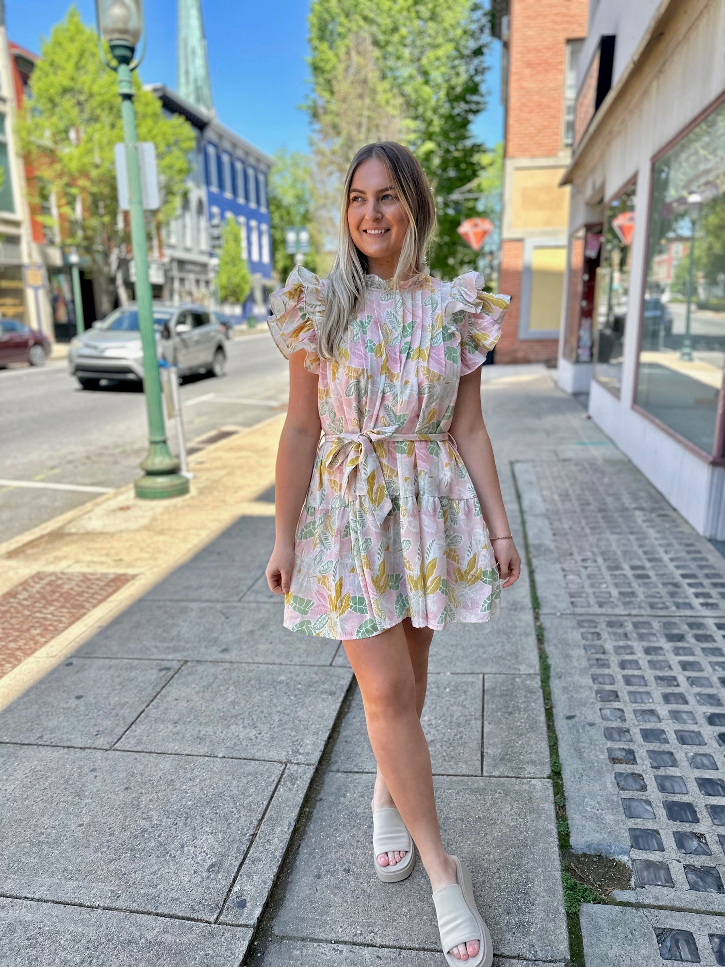 Shelly Pleated Dress