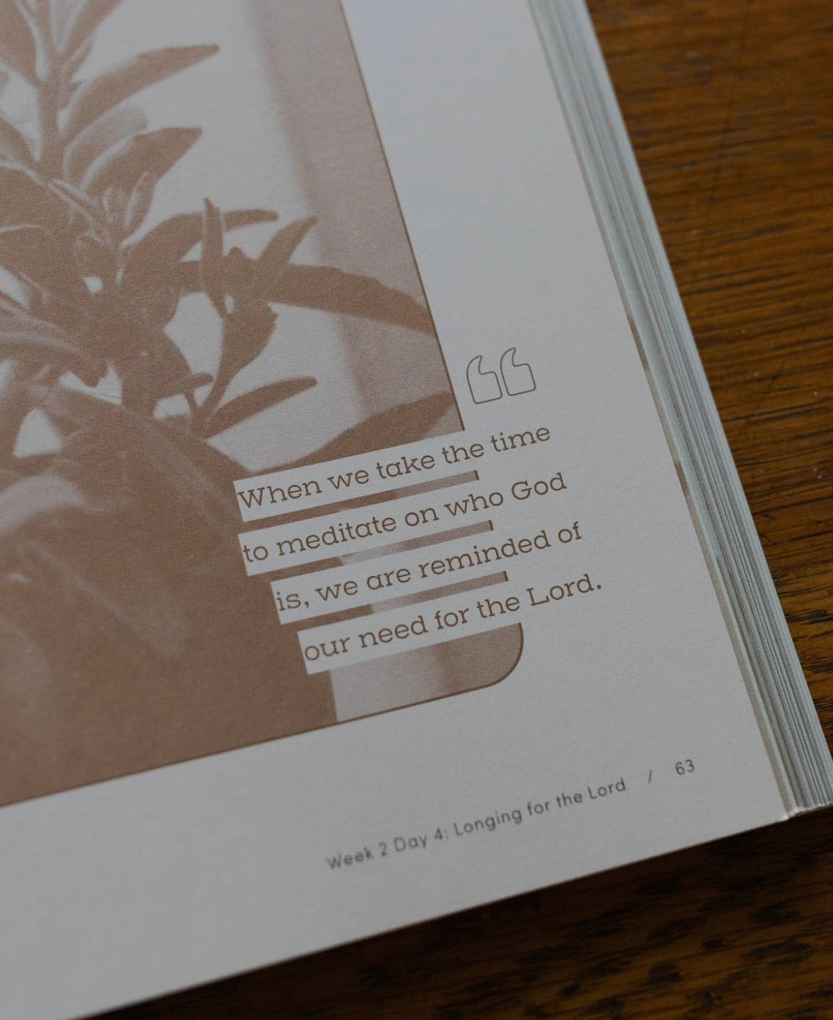 Rivers of Renewal : How God Meets and Nourishes you in Spiritually Dry Seasons
