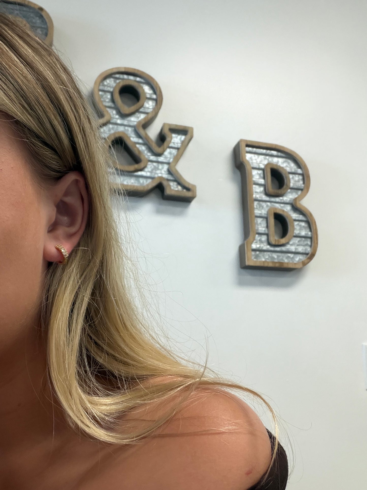 CZ 2 Row Huggie Hoops