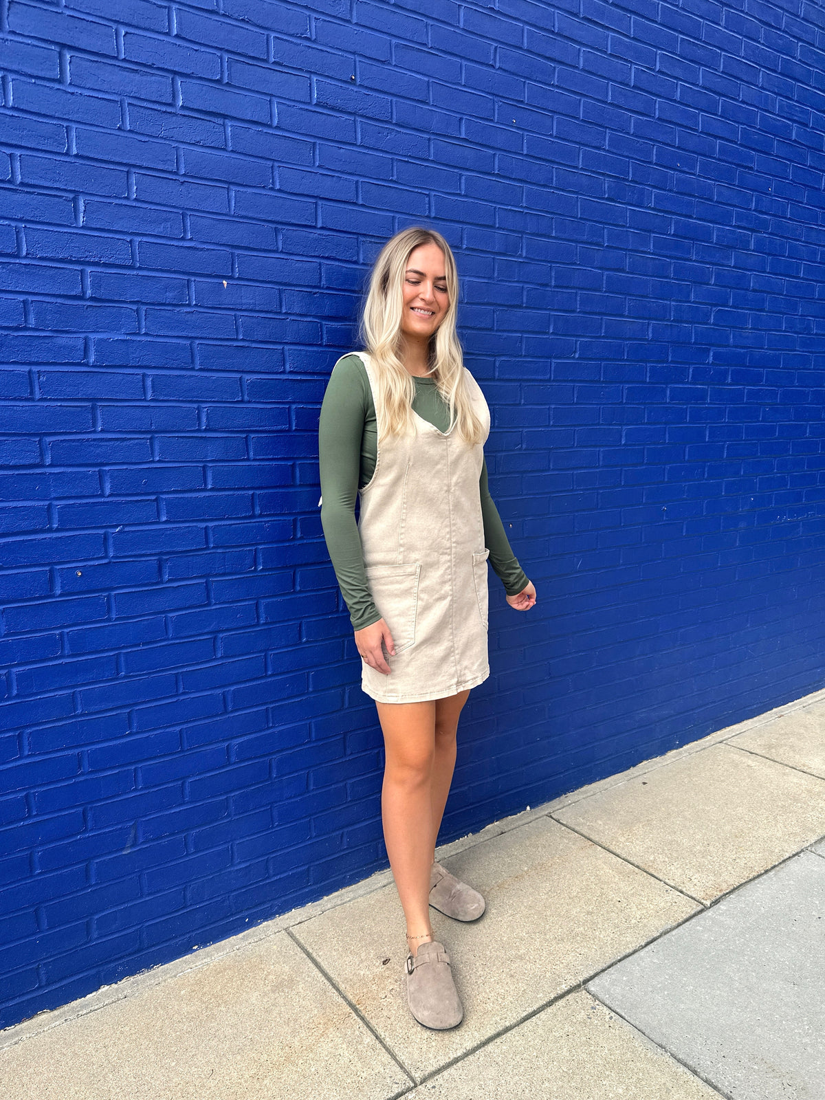 Franktown Denim Dress