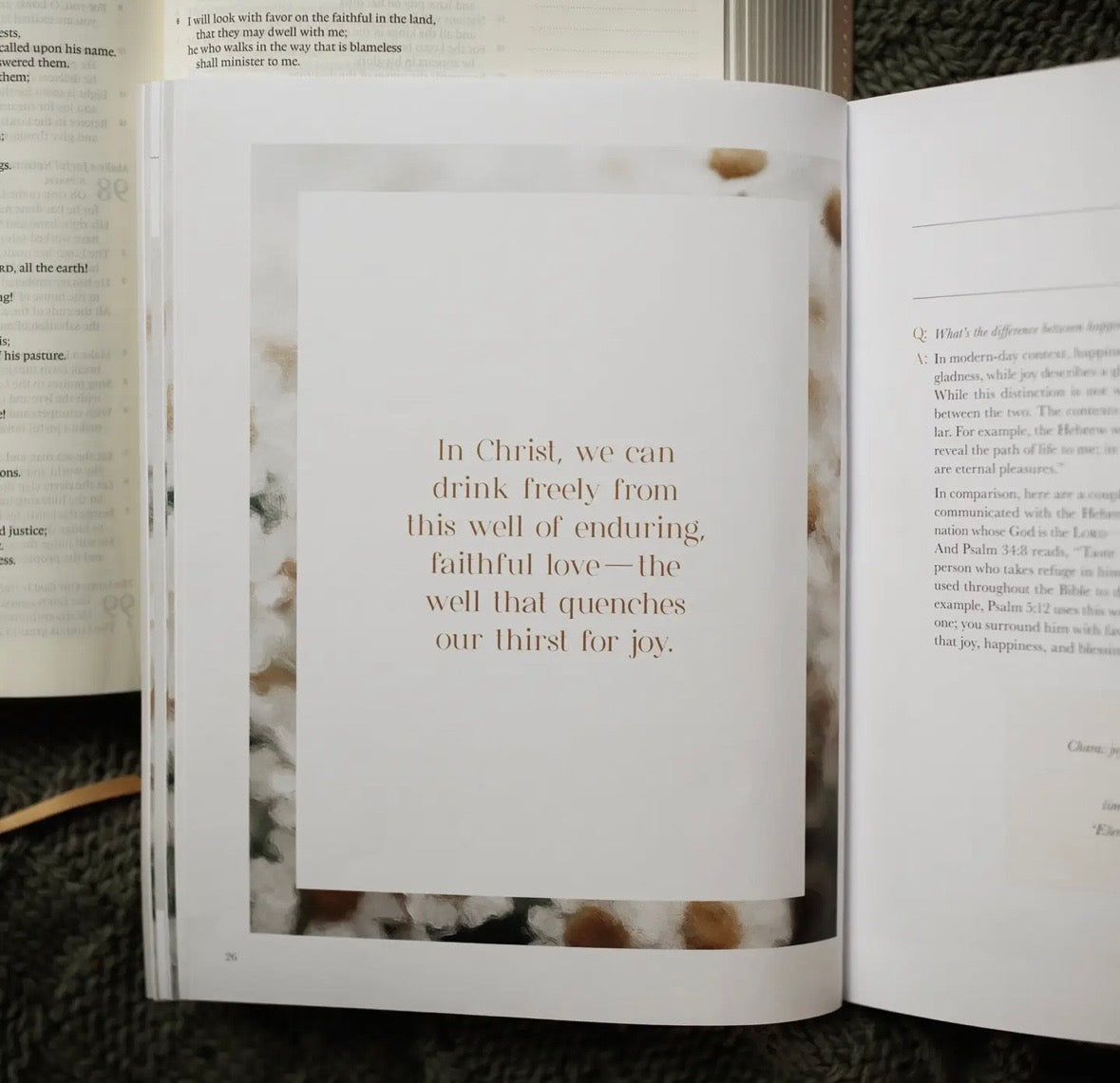 A Joy That Endures Bible Study