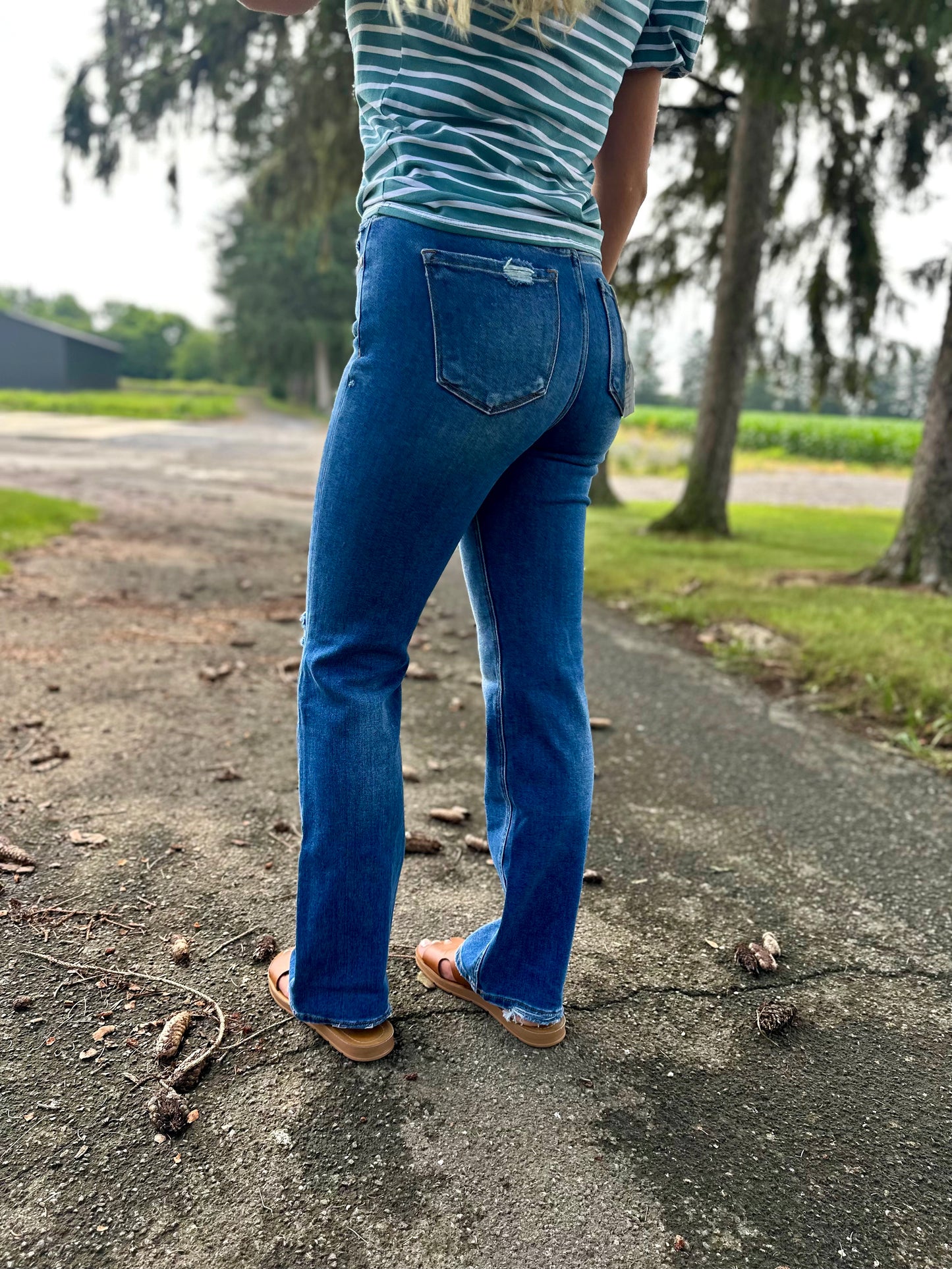 Shepherdstown Risen High Rise Straight Jeans