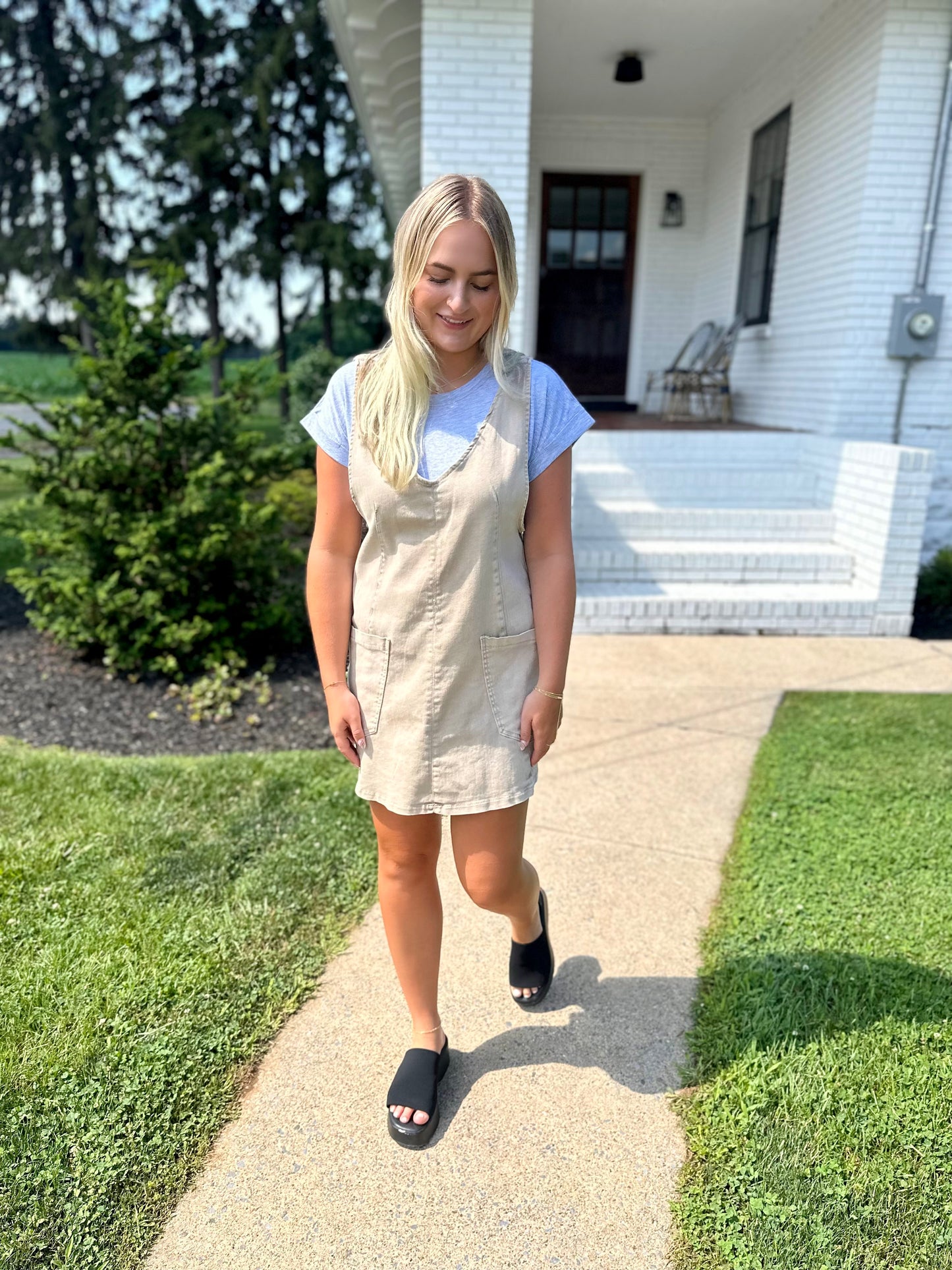 Franktown Denim Dress
