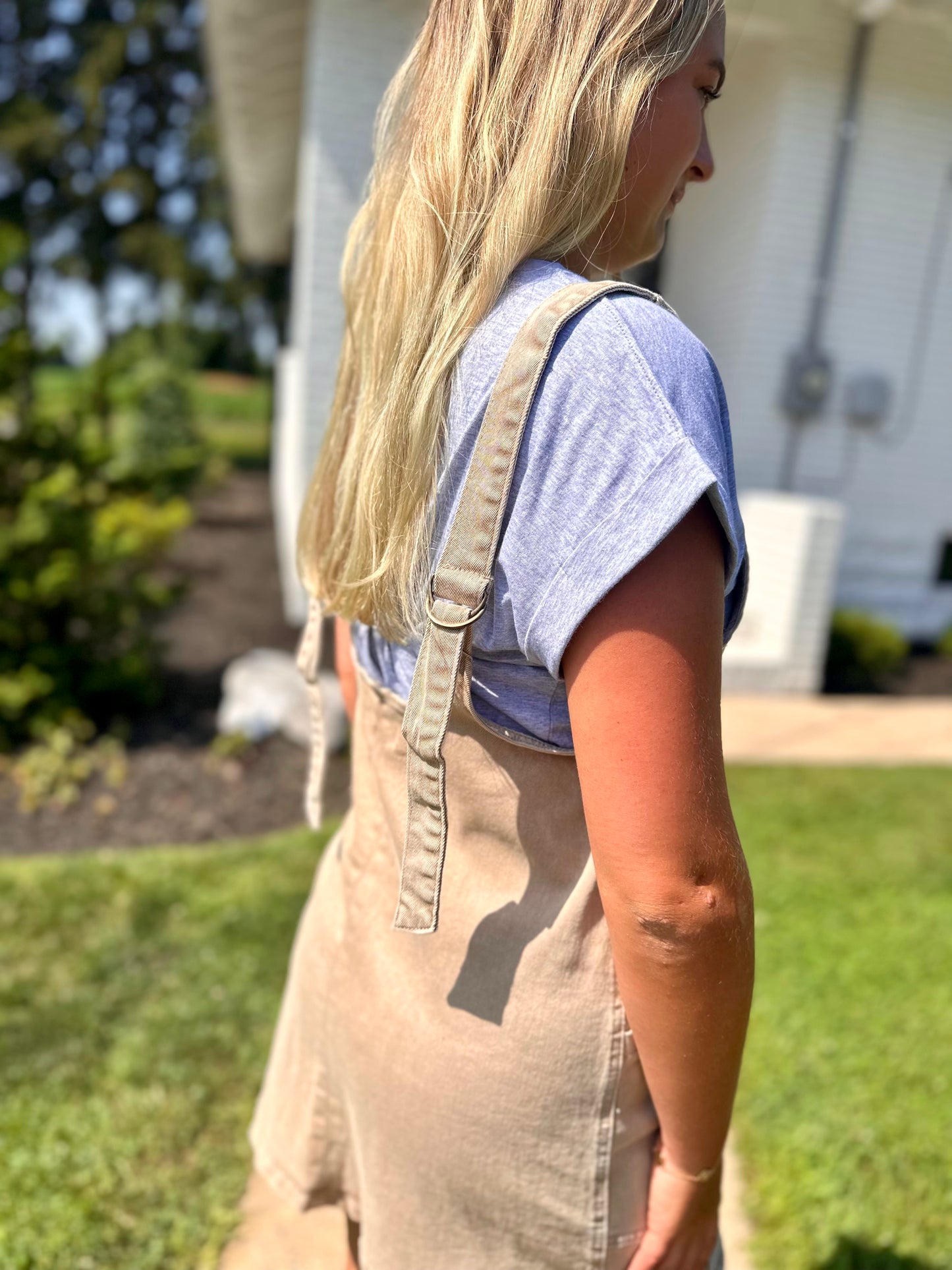 Franktown Denim Dress