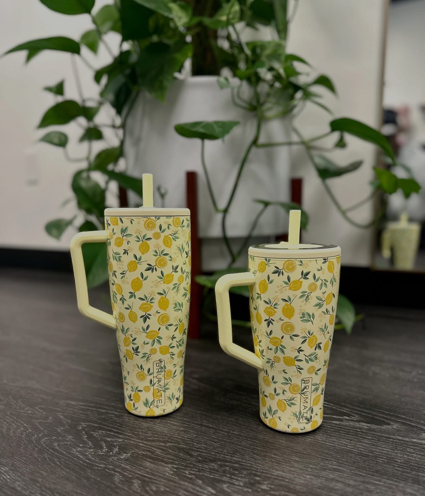 BruMate Era Tumbler