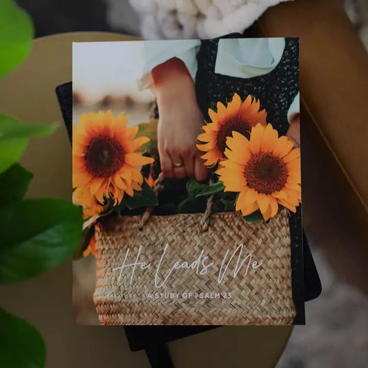 He Leads Me: Psalm 23