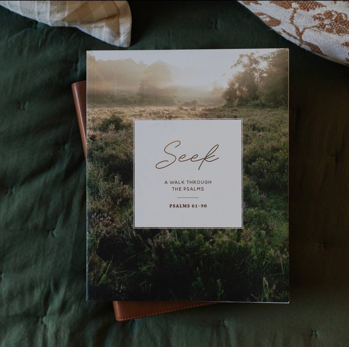 Seek Study: Psalm 61-90