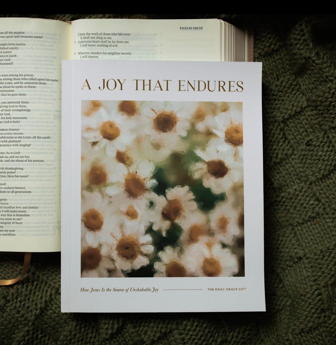 A Joy That Endures Bible Study