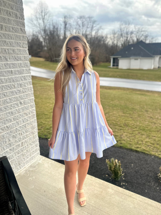 Bellevue Stripe Collared Dress