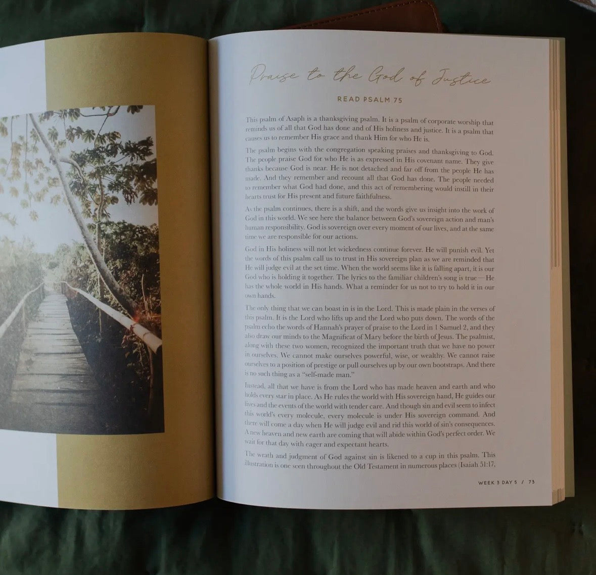 Seek Study: Psalm 61-90