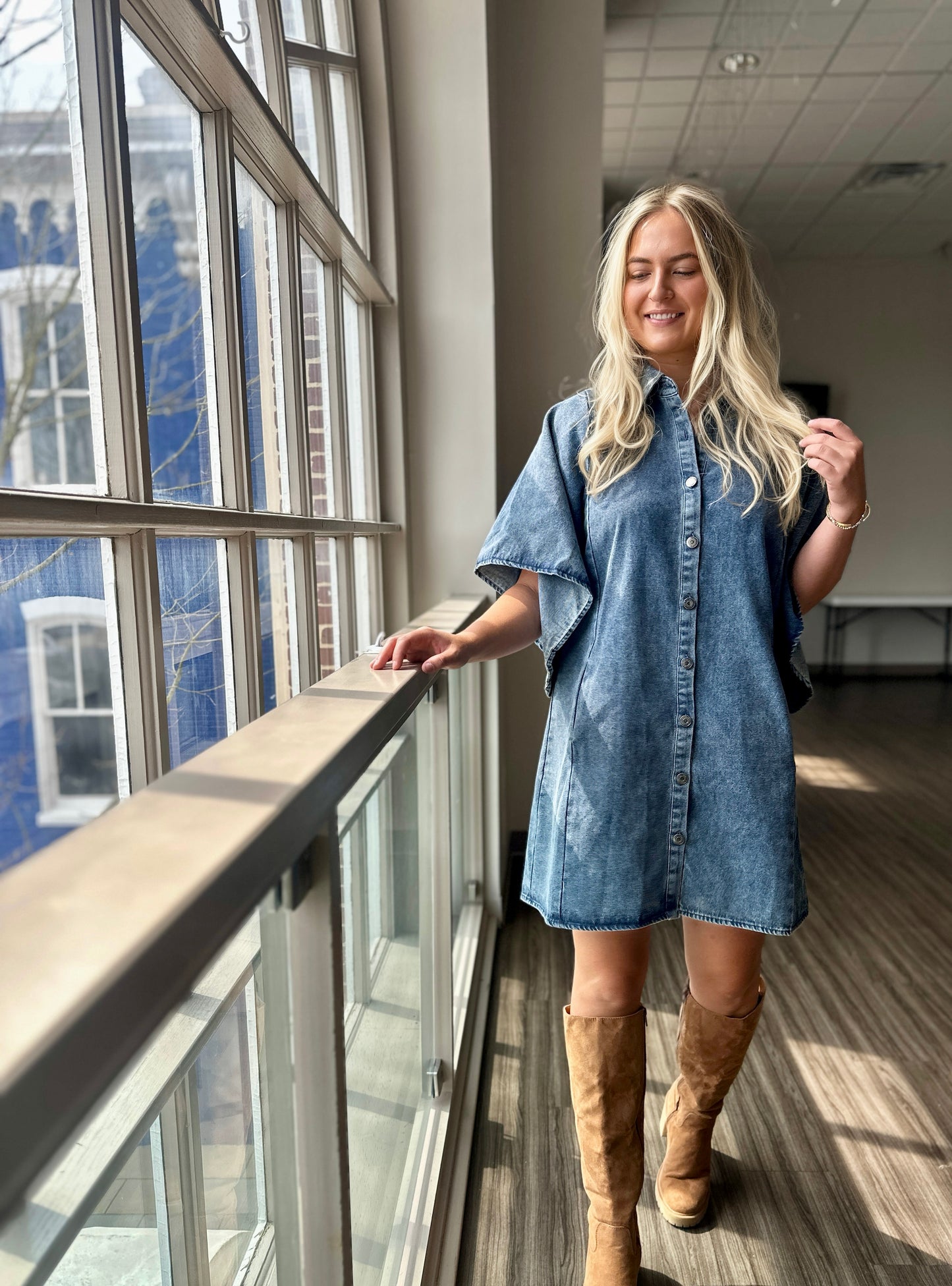 Goffstown Denim Dress