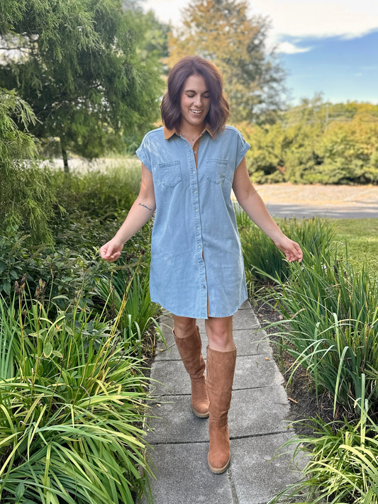 Gilbert Denim Dress