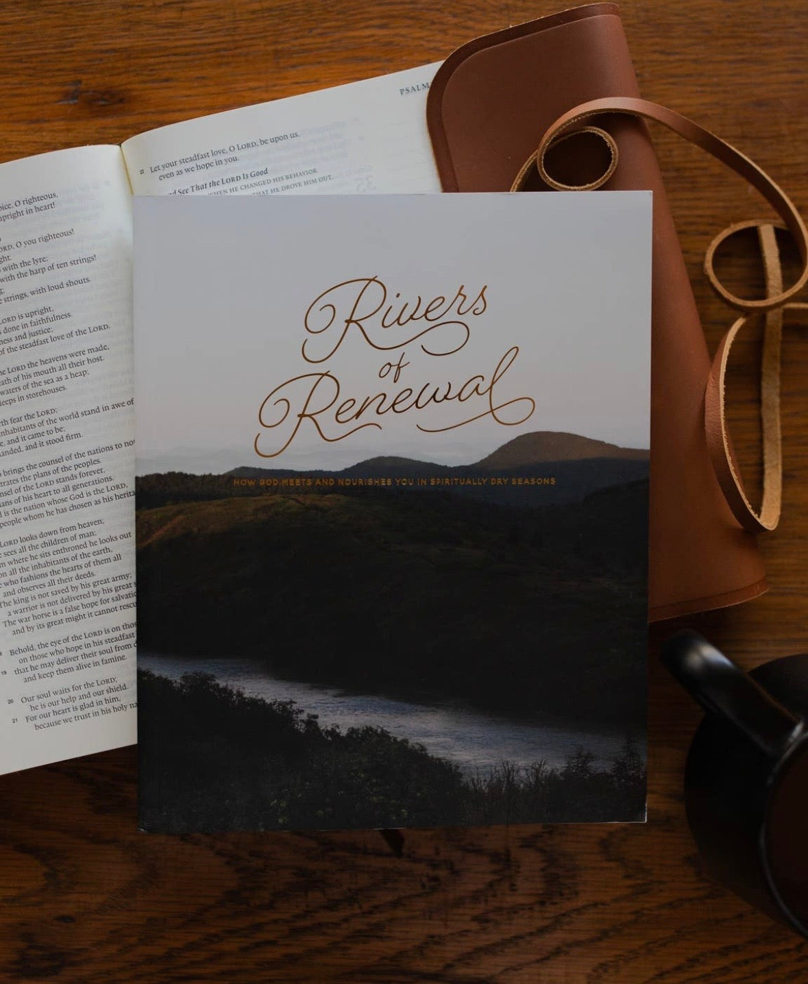 Rivers of Renewal : How God Meets and Nourishes you in Spiritually Dry Seasons