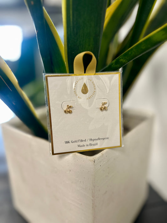 Cherry Gold Filled Studs