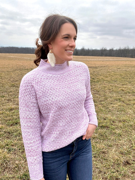 Fort Mill 2 Tone Pullover Sweater