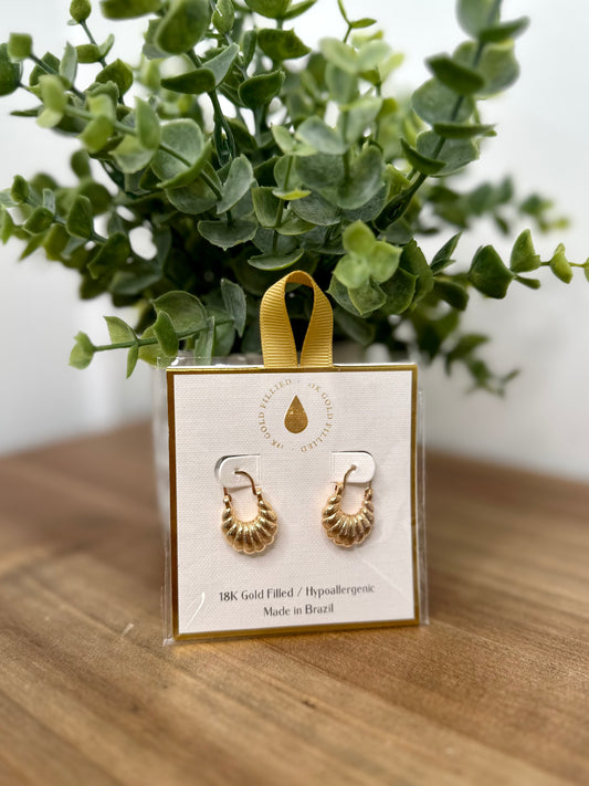 Shell Textured Gradual Hoops