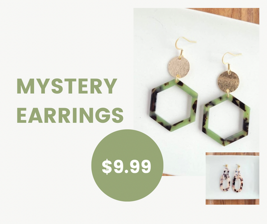 $9.99 Mystery Earrings