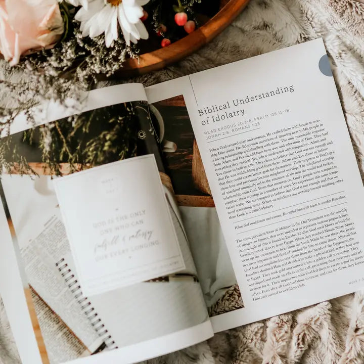 More Than Anything- Idolatry Study