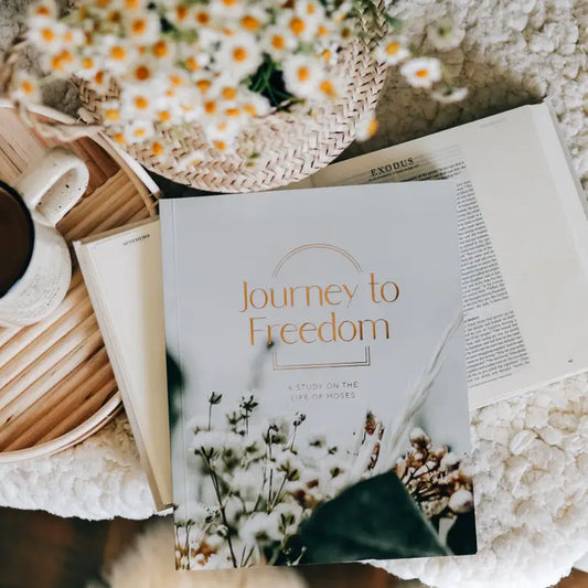 Journey to Freedom: A Study On The Life of Moses